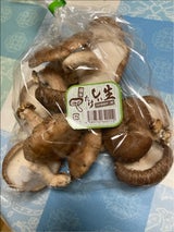 D.K.アグリ愛知 なましいたけ しいたけ