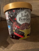 ロッテ レディーボーデンパイントチョコレート470