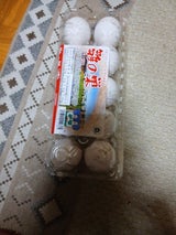 ホクリョウ 雛の巣 10個