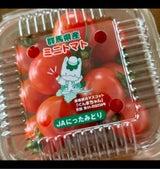 JA群馬 ミニトマト 200g