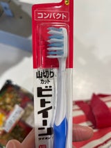 ビトイーンライオン コンパクト ふつう