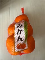 堀江 みかんネット 1kg