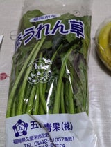 マルシン ほうれんそう 1P