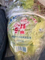 岩井中央 サニーレタス