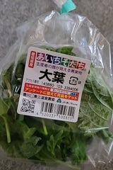 JAあいち 大葉20ℊ