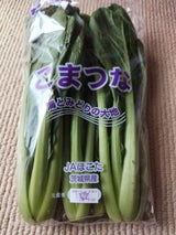 JA茨城 こまつな 200g