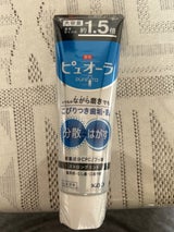 薬用ピュオーラハミガキストロングミント大 170g
