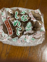 片山 ぶなしめじ