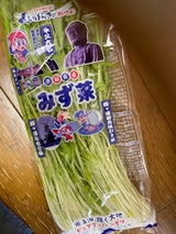 ピュアグリーン みずな