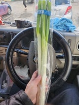全農秋田 秋田県産ねぎ 1P