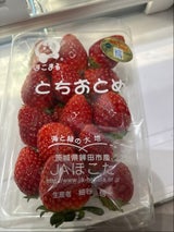 JA宮城経済連 ミニトマト200ℊ