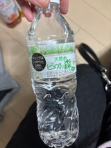ビクトリー 天然水 ピュアの森 500ml