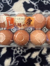 全国たまご 褐色殻付き卵L 10個
