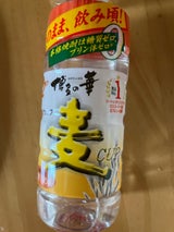 博多の華 麦 12度 乙 CUP 200ml