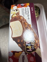 ハーゲンダッツ クランチーバーバニラチョコ80ml
