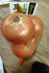 信和 玉ねぎ用袋