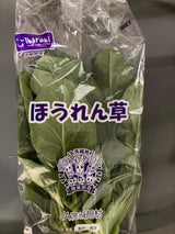 JA全農いばらき ほうれん草