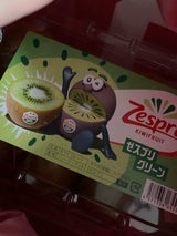 パックネット グリーンキウイ ギガパック 16個