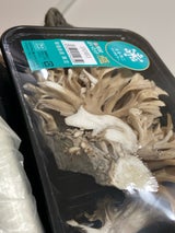 雪国まいたけ 極グルメパック 1P