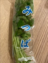 JA千葉 糸みつば