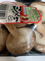 雲仙しいたけ 生しいたけ 1P