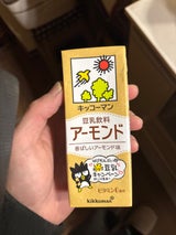 キッコーマンSF 豆乳飲料 アーモンド 200ml