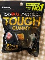 カバヤ タフグミ 100g