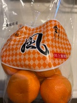 西宇和 風みかんスタンドパック 1kg