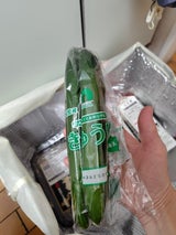 JA宮崎 きゅうり 3本