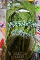 JA茨城 ほうれんそう