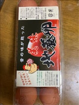 全国地養卵 美味 地養卵 パック 10個