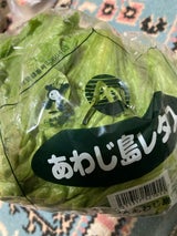 JAあわじ島 レタス