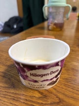 ハーゲンダッツ ミニカップラムレーズン 110ml