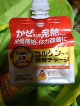 コルゲンコーワ滋養チャージ 100ml