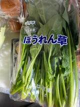JA千葉 ほうれんそう