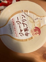 オハヨー乳業 ジャージー牛乳プリンミルク 105g