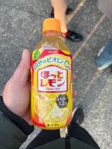 カルピス ほっとレモン PET 480ml