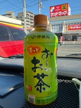 伊藤園 お〜いお茶 HOT緑茶 500ml