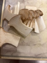 ホクト エリンギ 100g