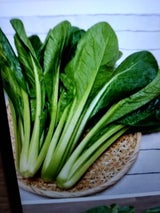 日本農産 小松菜おためしパック 1P