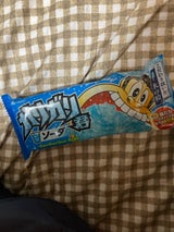 赤城乳業 ガリガリ君ソーダ 105ml