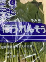 JA群馬 ほうれん草