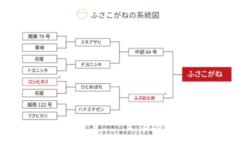 ふさこがね系統図.png