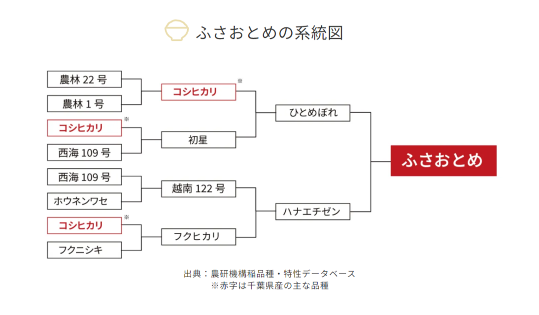 ふさおとめ系統図.png